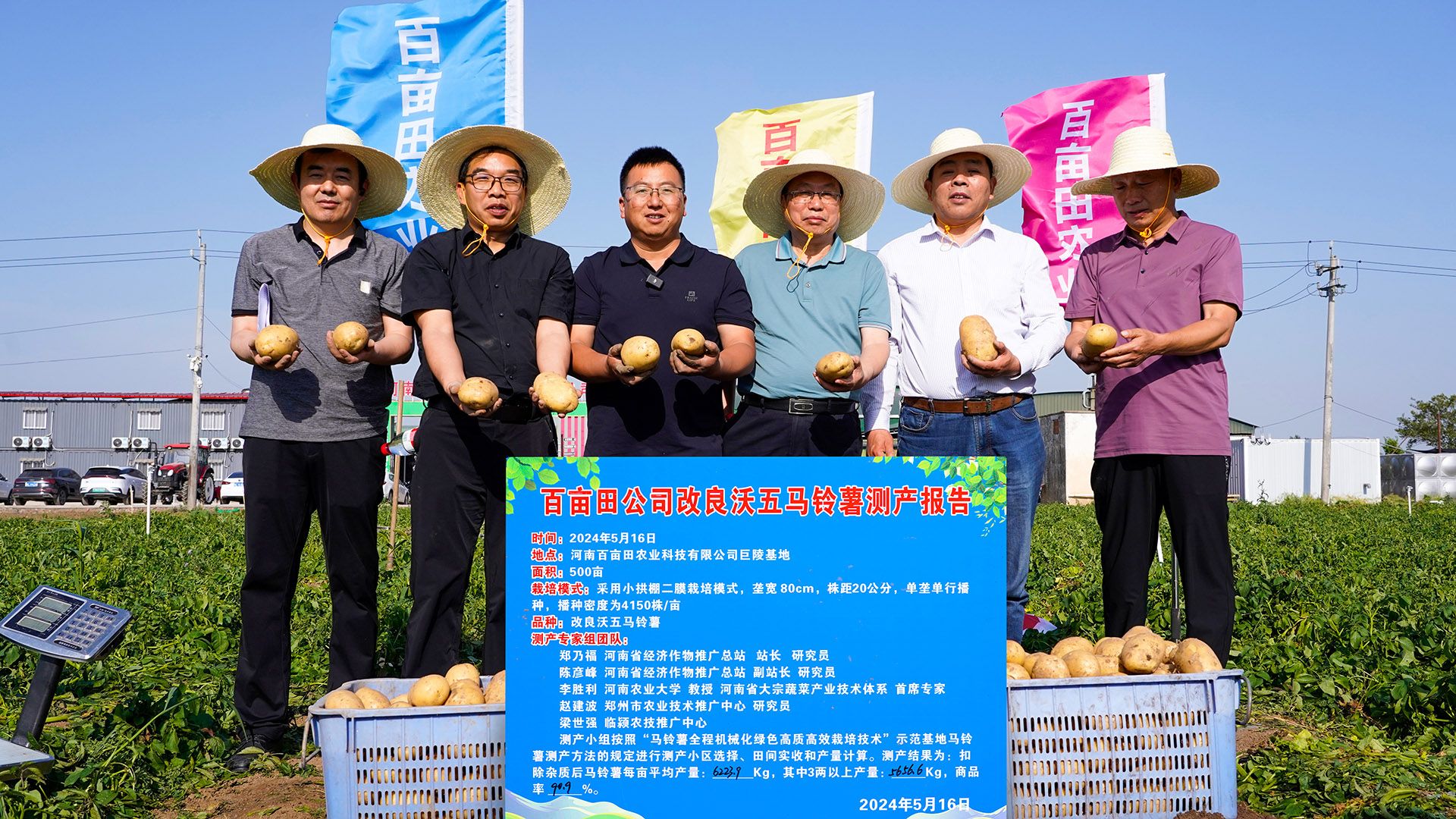 马铃薯测产03.jpg
